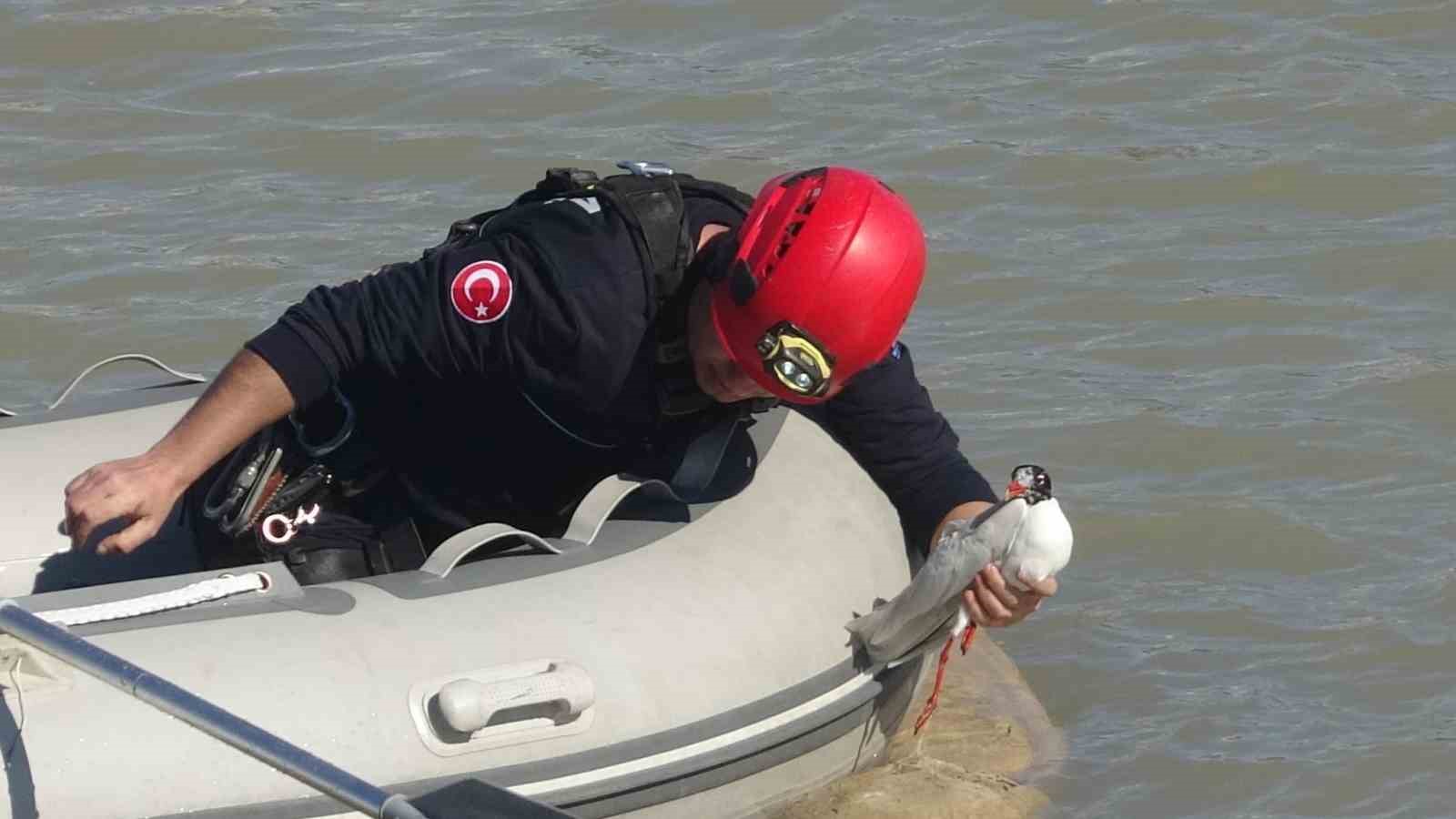 antalya itfaiyesinden film gibi marti kurtarma operasyonu 0 CKsuXUC3