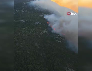 antalya-kasta-orman-yangini-jak5cqqw.jpg