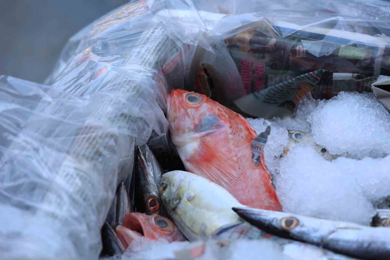 antalya otogarinda balik operasyonu 260 kilo ele gecirildi 3 fUPbHRlU