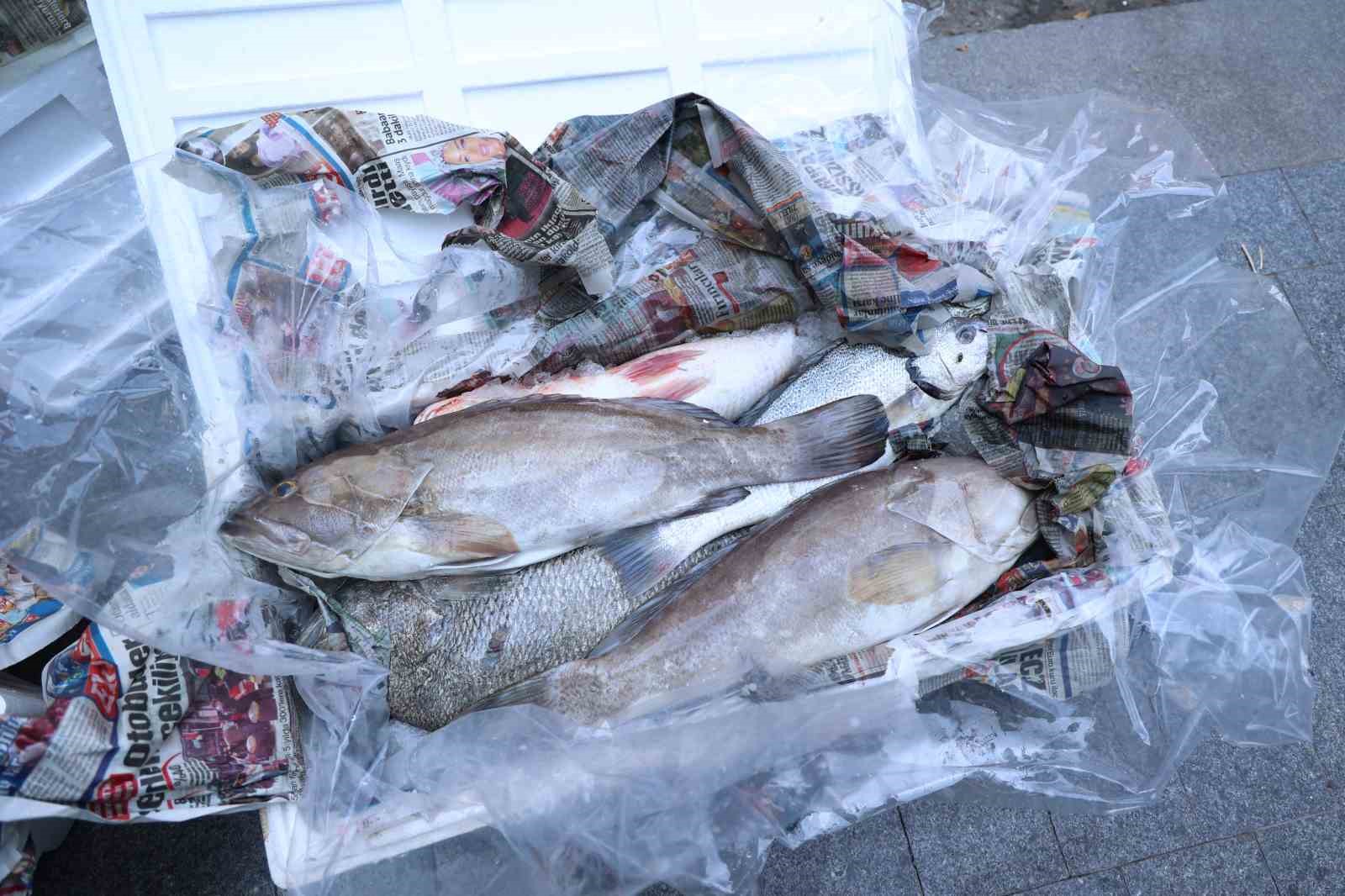 antalya otogarinda balik operasyonu 260 kilo ele gecirildi 4 8ZUQLZVV
