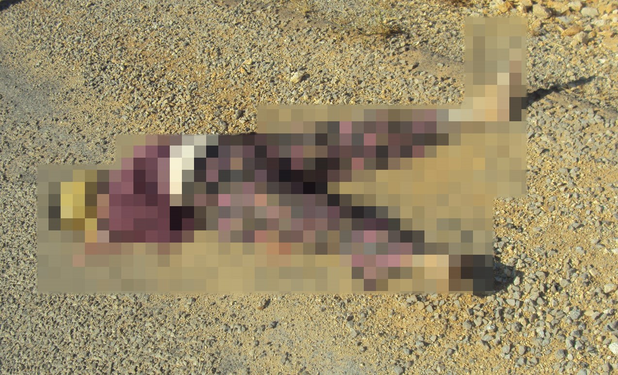 antalyada 15 yillik cinayetin sirri dna eslesmesi ile cozuldu 1 44c45GpC