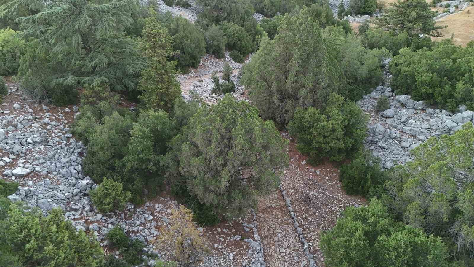 Antalya’da 3 bin 650 metrelik tarihi Kervan Yolu rotası dron ile görüntülendi 13 antalyada 3 bin 650 metrelik tarihi kervan yolu rotasi dron ile goruntulendi 9