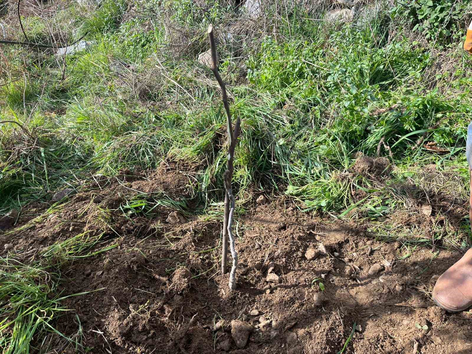 Antalya’da 82 yaşındaki yeminli mali müşavirden köy hayatına örnek proje 7 antalyada 82 yasindaki yeminli mali musavirden koy hayatina ornek proje 3 PqWVkyhh