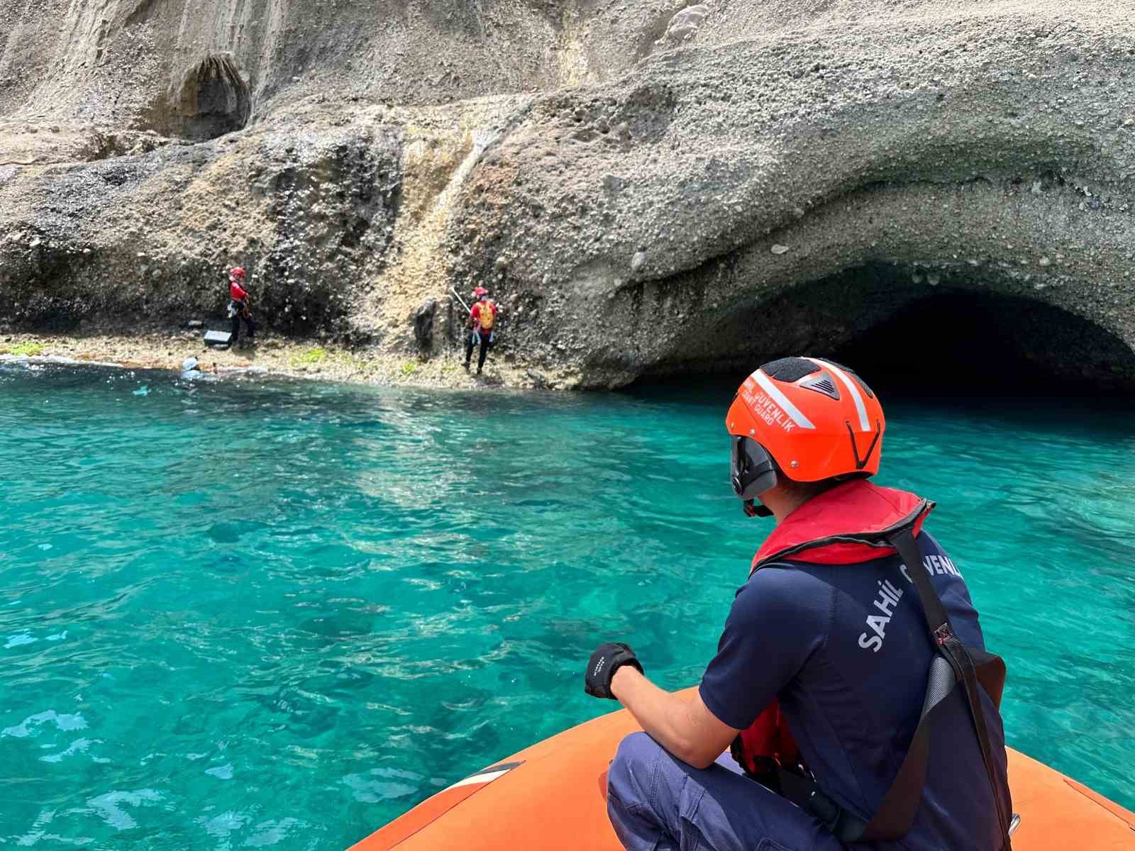 antalyada akdeniz foklarinin yeni yasam alani kesfedilip koruma altina alindi 0 KpQYYsh5