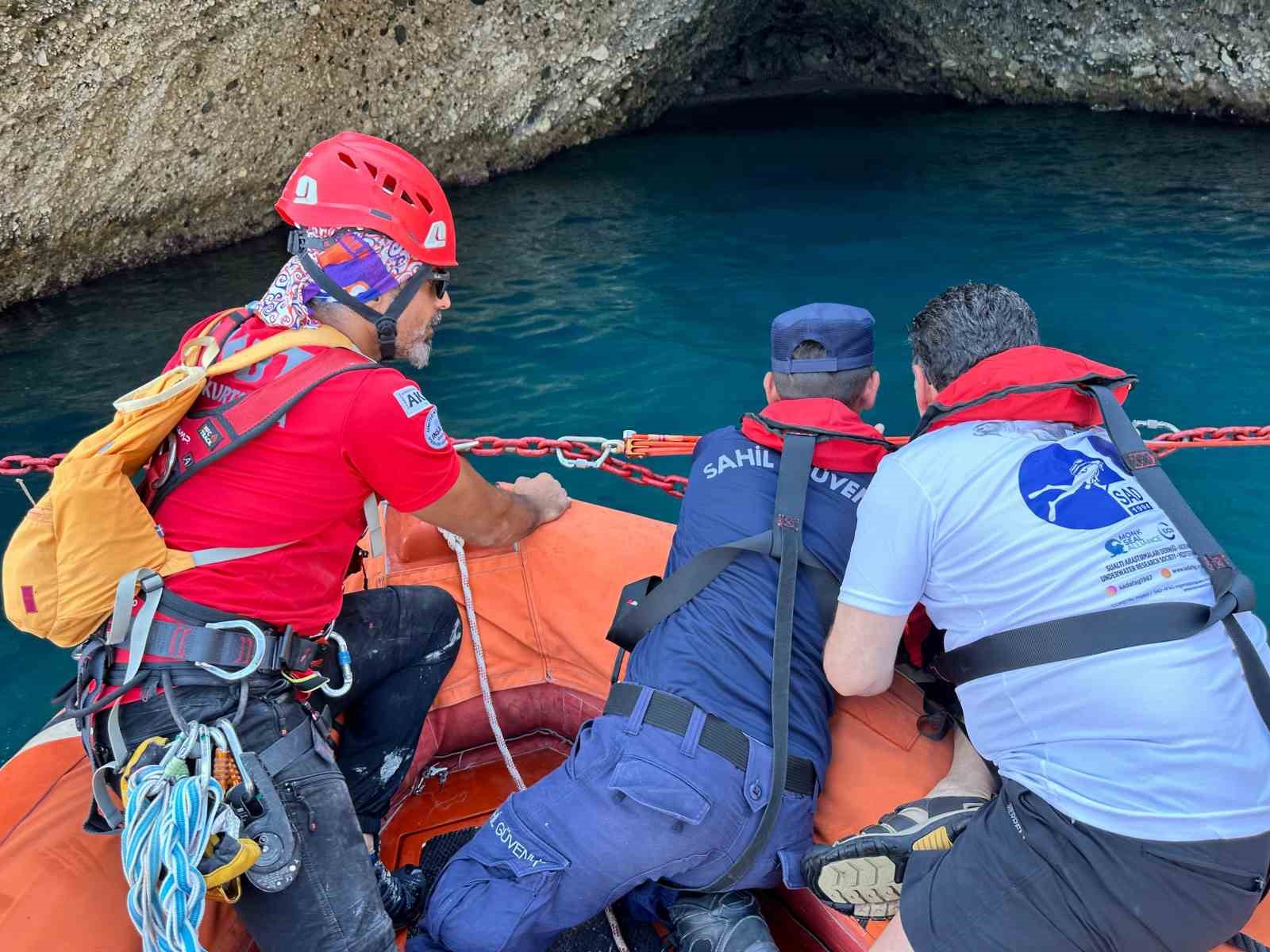 antalyada akdeniz foklarinin yeni yasam alani kesfedilip koruma altina alindi 1 SdfWNcTJ