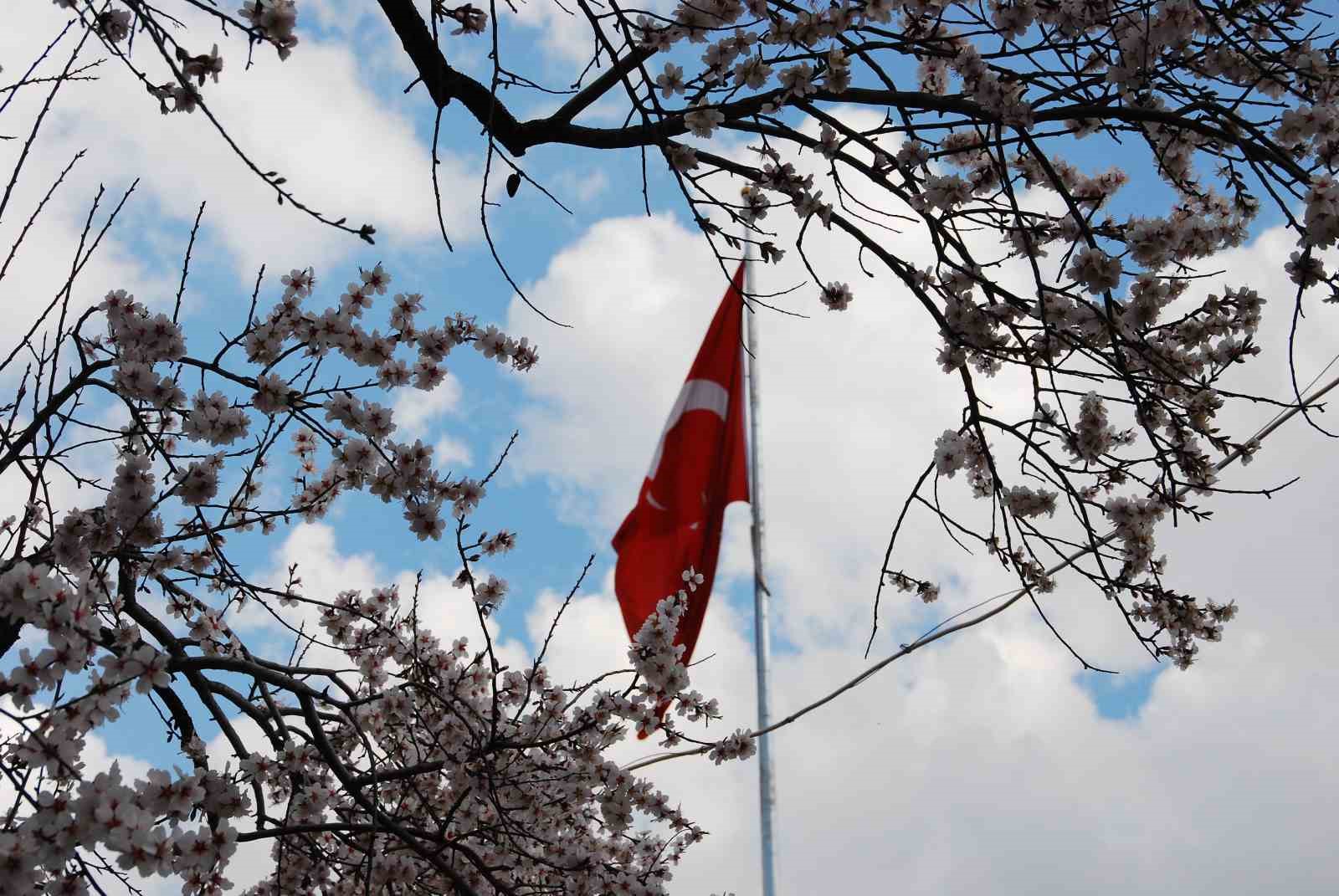 antalyada badem agaclari cicek acti dogada renk cumbusu yasaniyor 1 QbirkFul