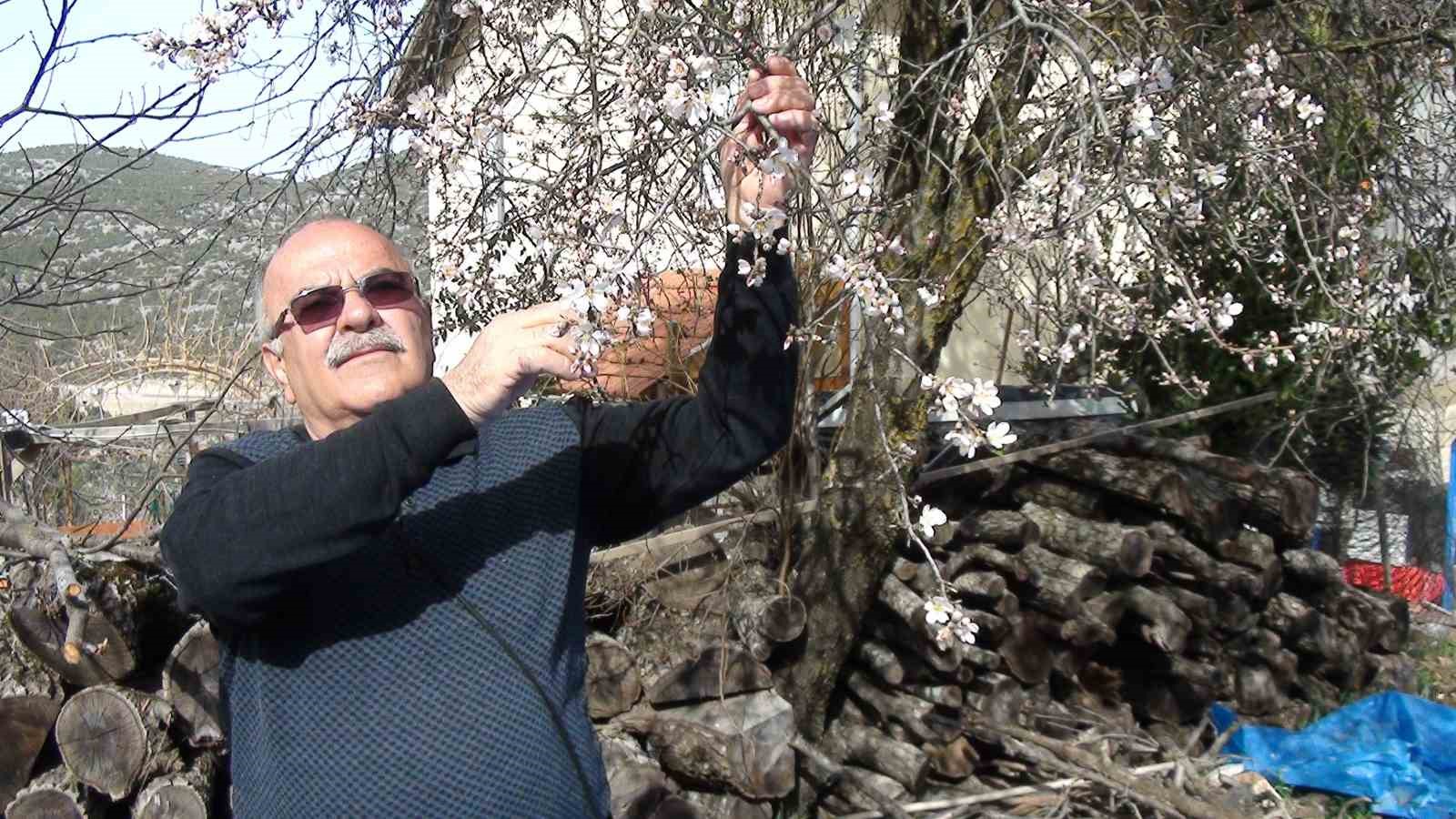 antalyada badem agaclari cicek acti dogada renk cumbusu yasaniyor 5 OAtOyGkX