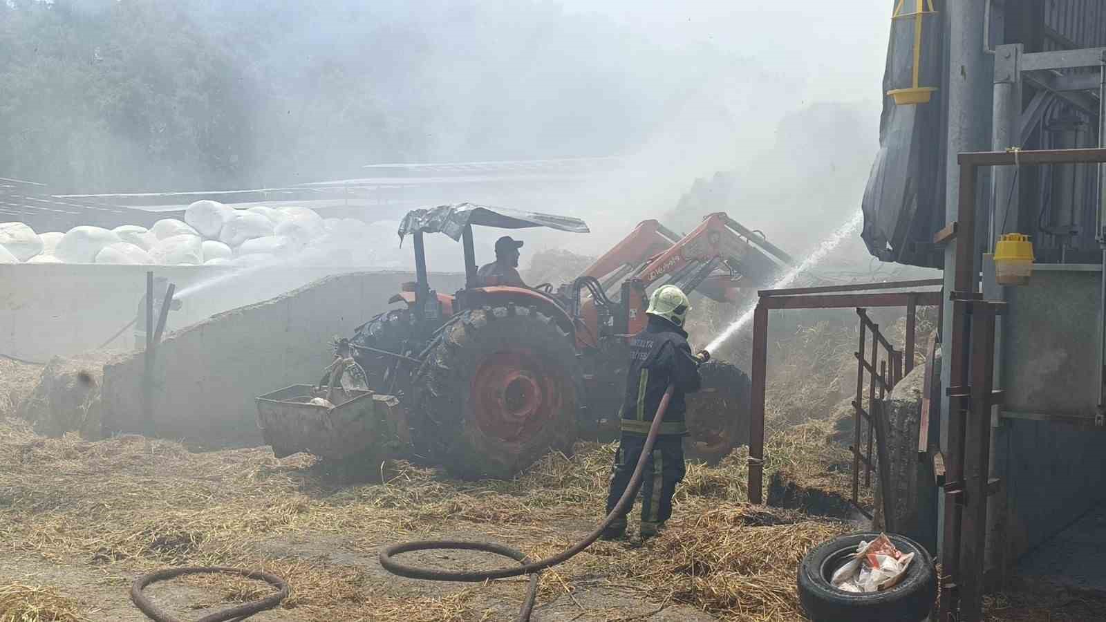 antalyada besihanede cikan yanginda 60 saman balyasi kul oldu 1 SX68M4qN