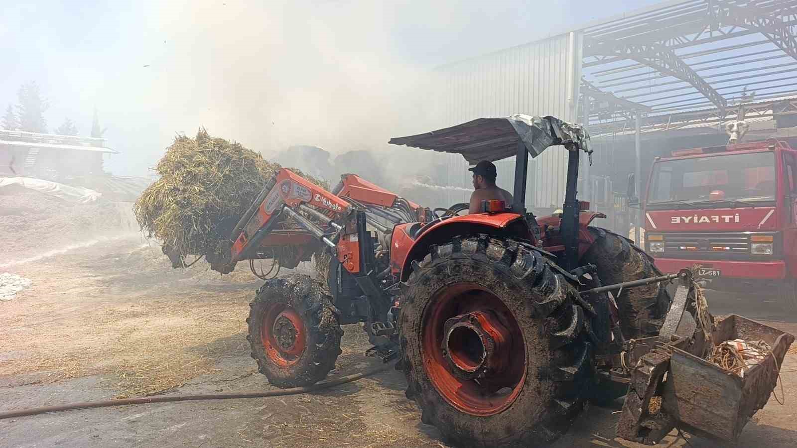 antalyada besihanede cikan yanginda 60 saman balyasi kul oldu 2 y1DIsPOv