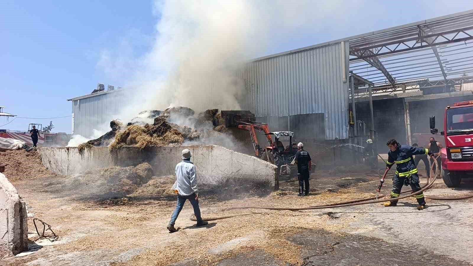 antalyada besihanede cikan yanginda 60 saman balyasi kul oldu 3 iSwb1UJF