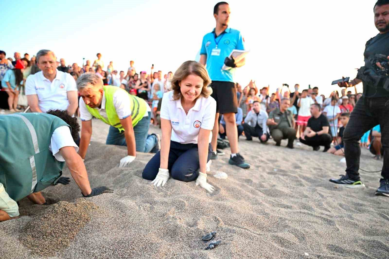 Antalya’da caretta caretta yavruları denizle buluştu 4 antalyada caretta caretta yavrulari denizle bulustu 0 T8vlW691