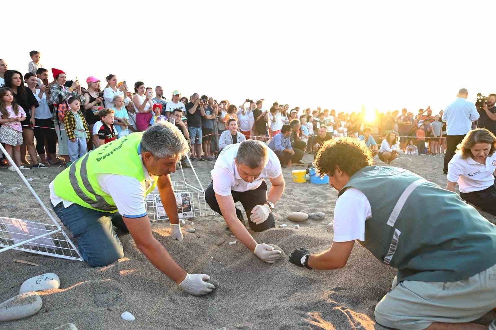 Antalya’da caretta caretta yavruları denizle buluştu 5 antalyada caretta caretta yavrulari denizle bulustu 1