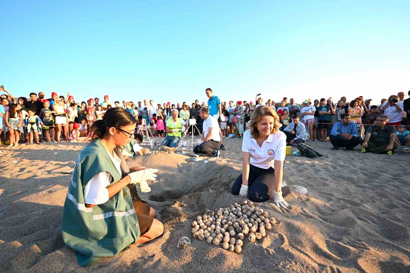 Antalya’da caretta caretta yavruları denizle buluştu 9 antalyada caretta caretta yavrulari denizle bulustu 5
