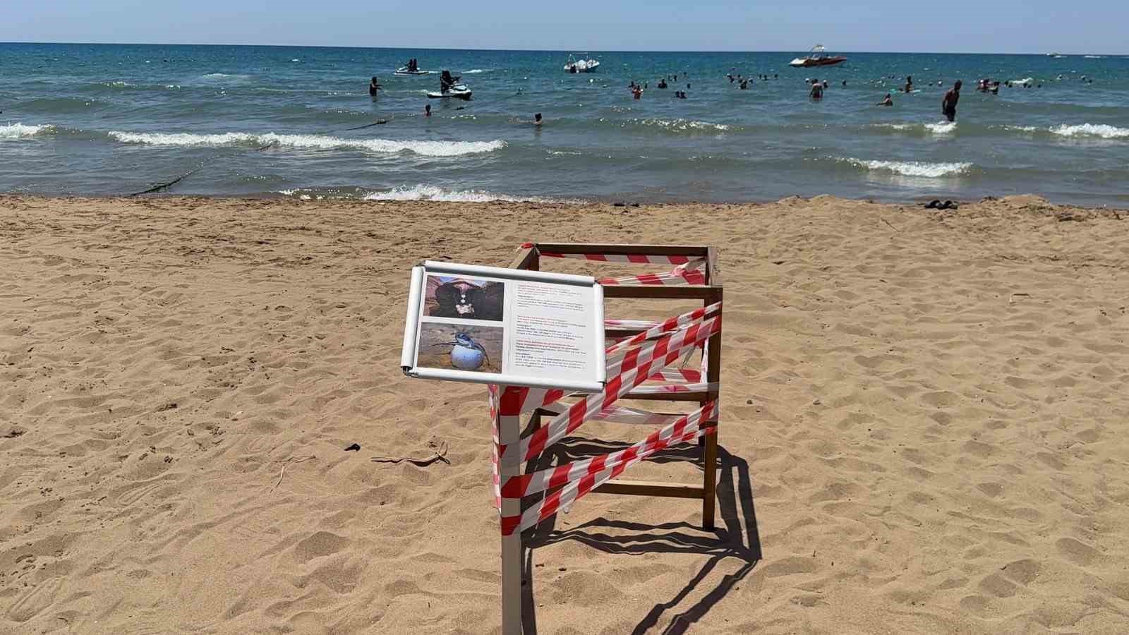 antalyada caretta caretta yuvasi bilmecesi 5 rsuq6cbV
