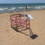 antalyada-caretta-caretta-yuvasi-bilmecesi-xPDRyZWQ.jpg