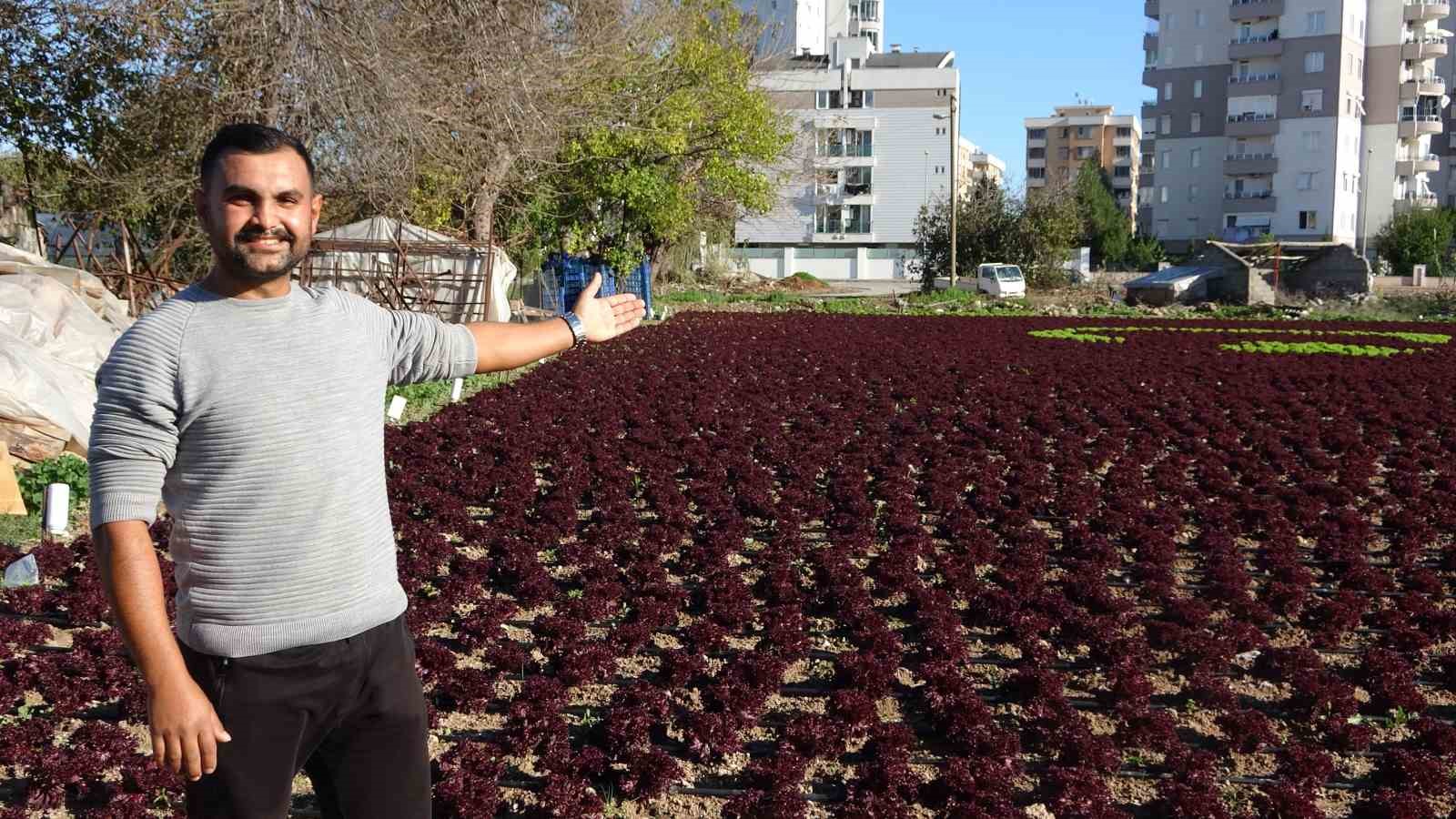 antalyada ciftciler 15 donumluk tarlaya 13 bin marulla turk bayragi deseni olusturdu 5 K9IlGF6W