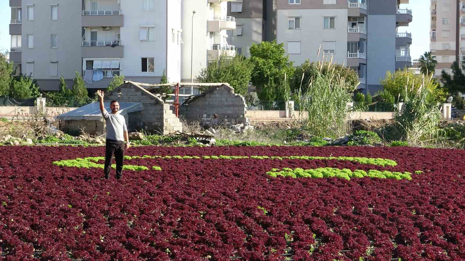 antalyada ciftciler 15 donumluk tarlaya 13 bin marulla turk bayragi deseni olusturdu 7 icMaRcRp
