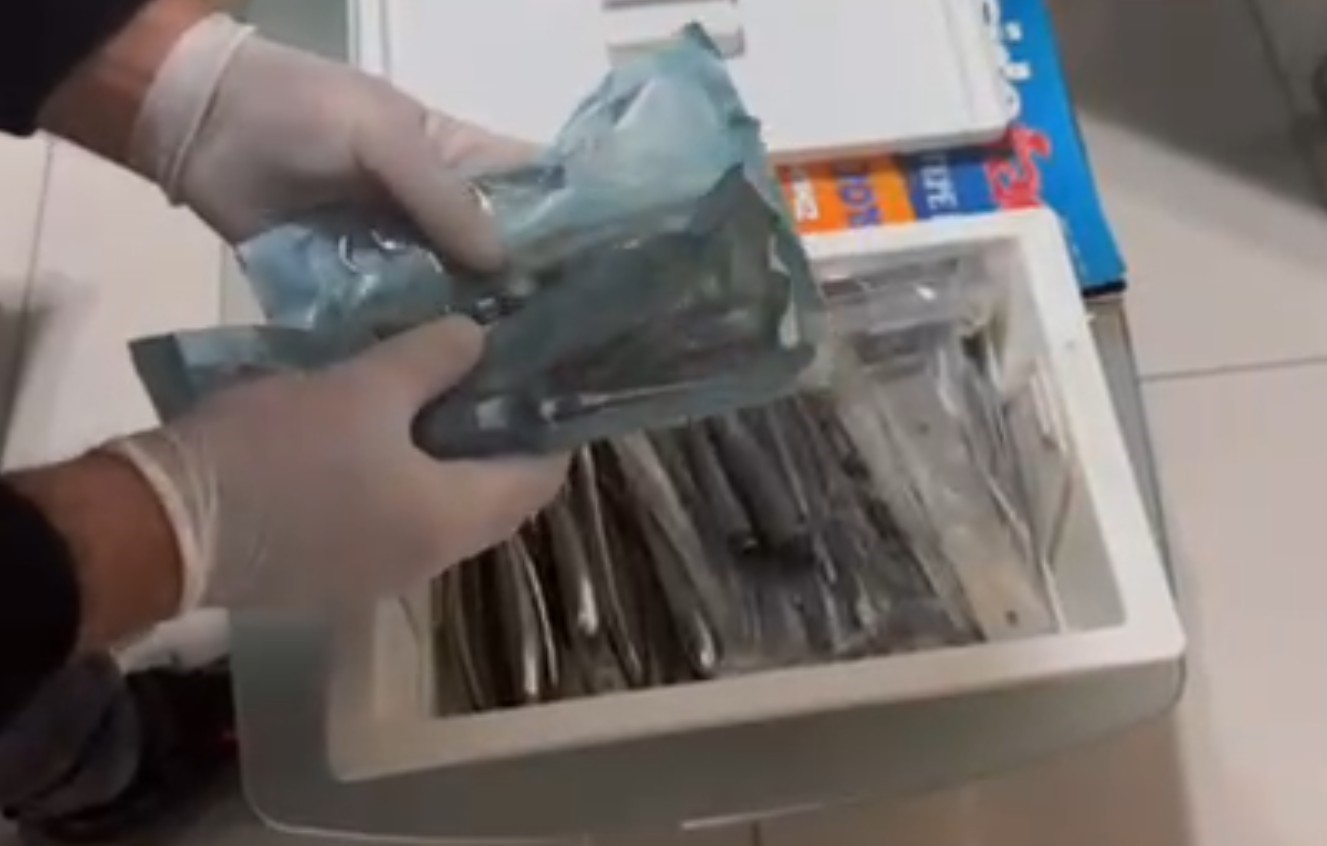 antalyada diplomasiz kacak dis tedavisi yapan supheliye operasyon 2 8cMrbgbi