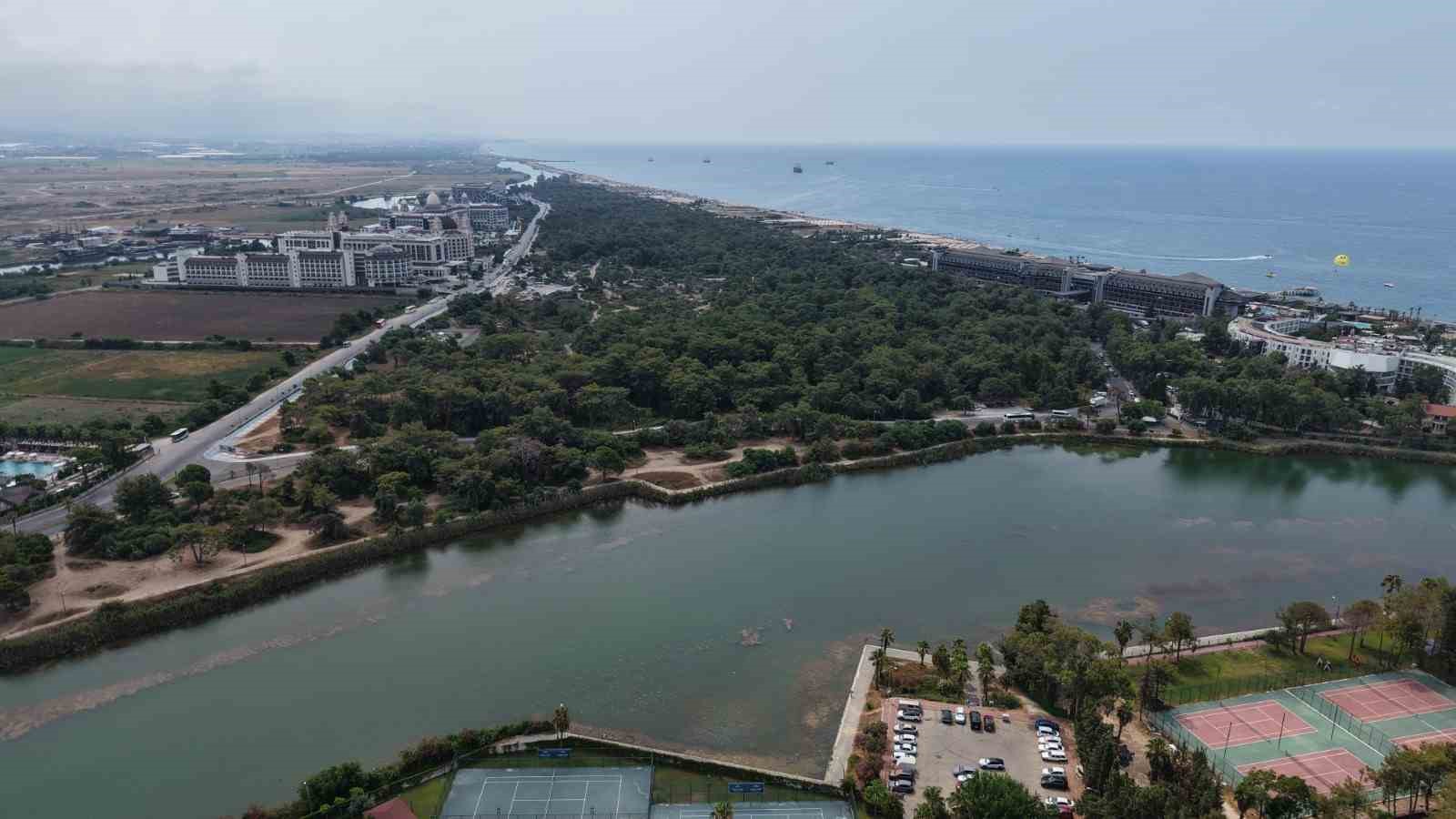 antalyada endemik turlere ev sahipligi yapan ormanlik alanlar tel citle cevrilecek 1