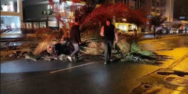 antalyada-firtina-palmiye-agacini-ikiye-boldu-cNJ14fn6.jpg