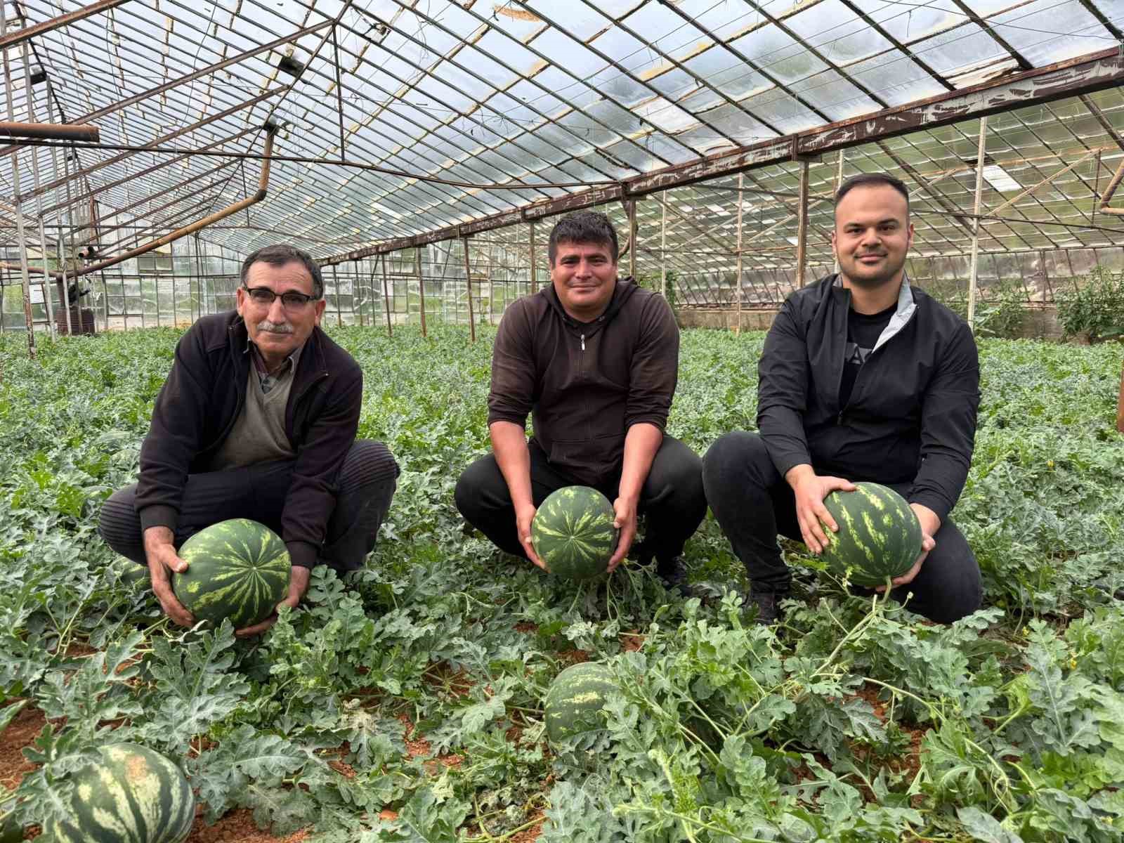 antalyada kis karpuzu hasadi icin geri sayim basladi 0 gwjJyeHO