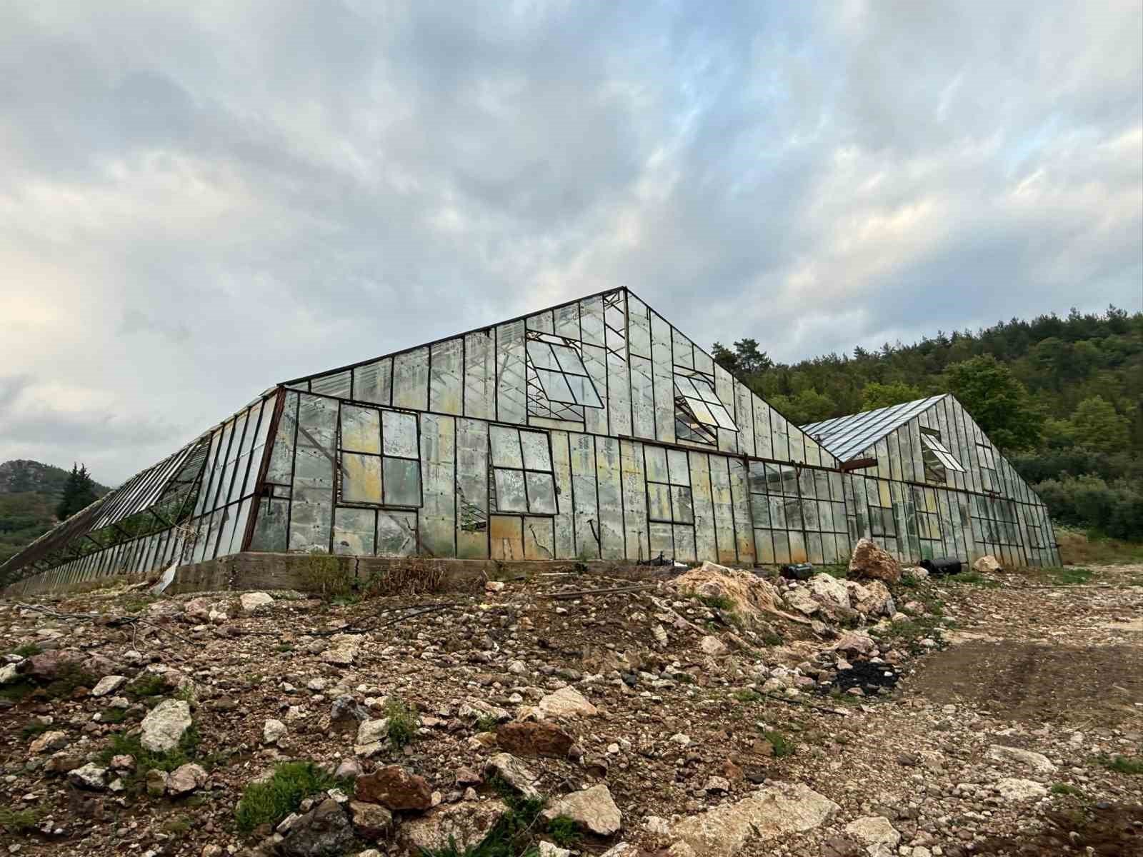 antalyada kis karpuzu hasadi icin geri sayim basladi 1 sc52C8FQ