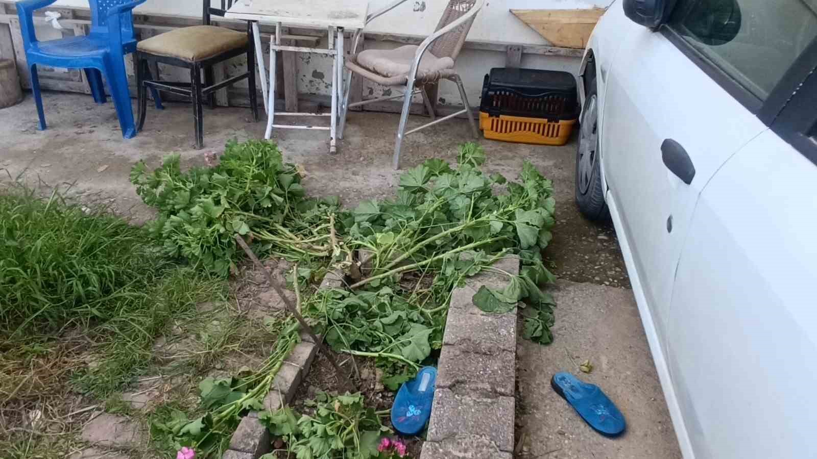 antalyada kucuk cocuk ikinci kattan dustu olayi kiriklarla atlatti 3 4BEKuR24