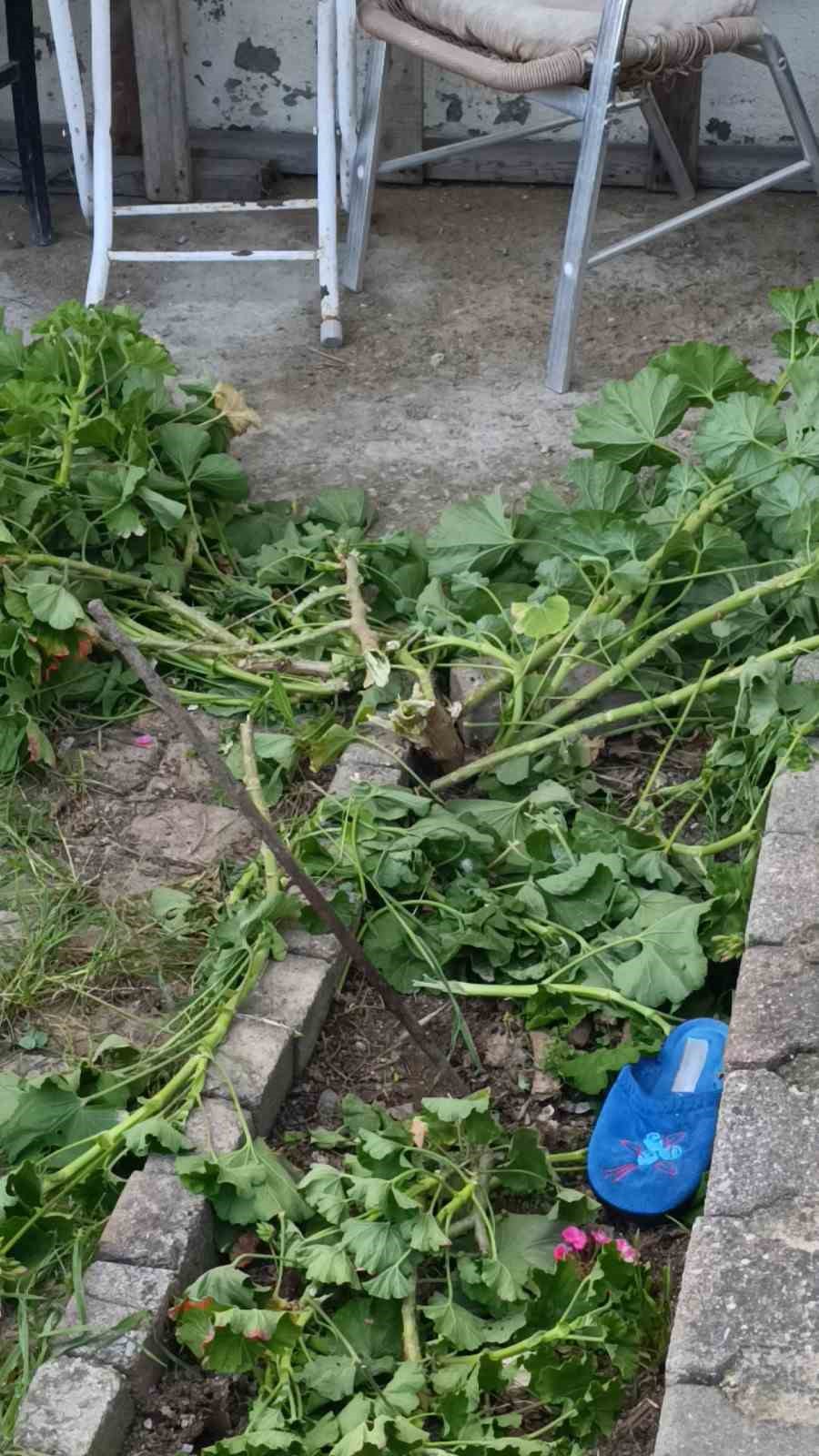 antalyada kucuk cocuk ikinci kattan dustu olayi kiriklarla atlatti 7 B2vdIUd5