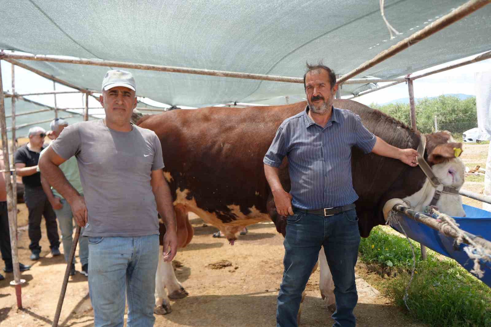 Antalya’da kurban pazarında son kozlar oynandı: "Zor belayla aldık, çok pazarlığını yaptık" 14 antalyada kurban pazarinda son kozlar oynandi zor belayla aldik cok pazarligini yaptik 10 cHfzLhhl