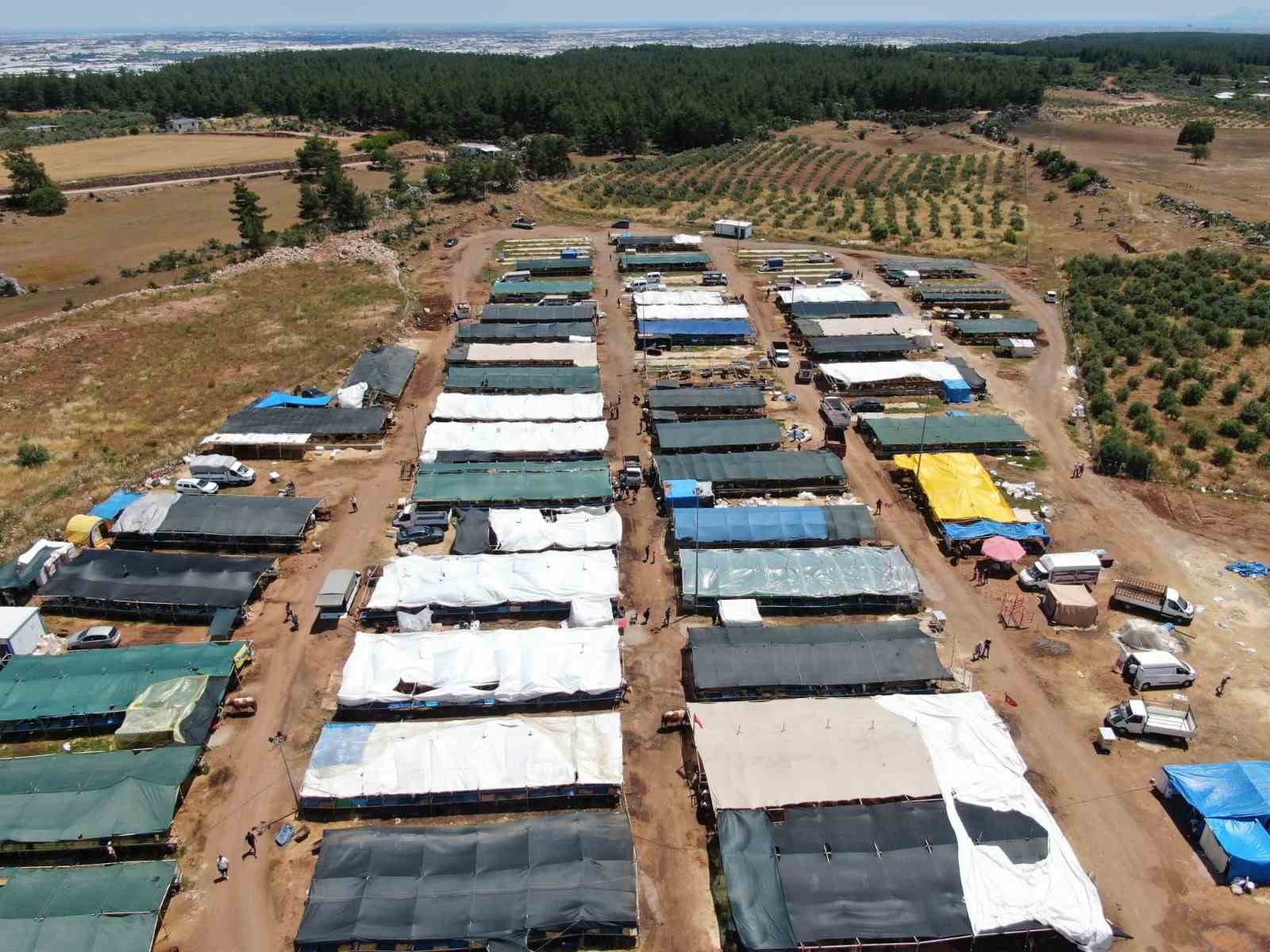 Antalya’da kurban pazarında son kozlar oynandı: "Zor belayla aldık, çok pazarlığını yaptık" 6 antalyada kurban pazarinda son kozlar oynandi zor belayla aldik cok pazarligini yaptik 2 dDq5biBs