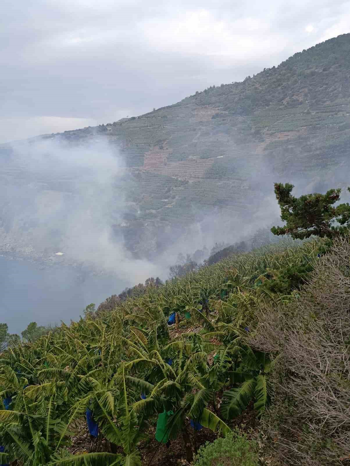 antalyada muz bahcesinde yangin 4 ZUNTW2pC