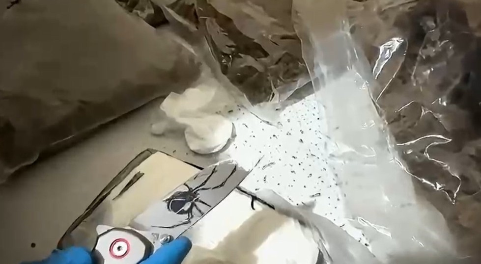 antalyada narkotik operasyonunda yuklu miktarda uyusturucu ele gecirildi 4 tutuklama 5 S24CPMlB