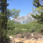 antalyada-ormanlik-alanda-cikan-yangin-buyumeden-kontrol-altina-alindi-K5lgfTnU.jpg