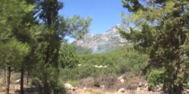 antalyada-ormanlik-alanda-cikan-yangin-buyumeden-kontrol-altina-alindi-K5lgfTnU.jpg