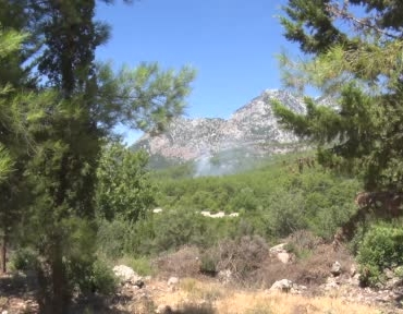 antalyada-ormanlik-alanda-cikan-yangin-buyumeden-kontrol-altina-alindi-K5lgfTnU.jpg