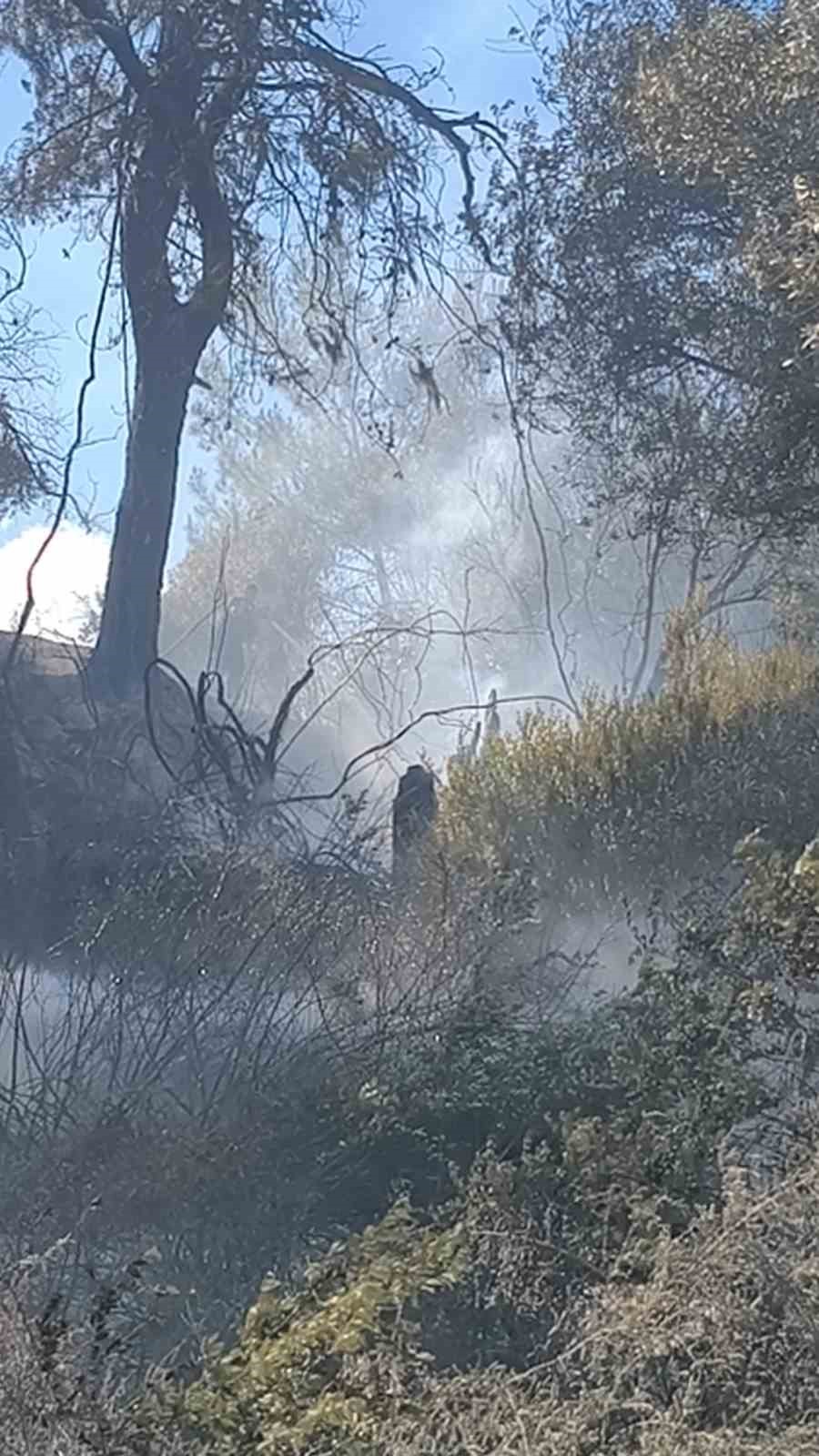 antalyada ormanlik alanda yangin 5