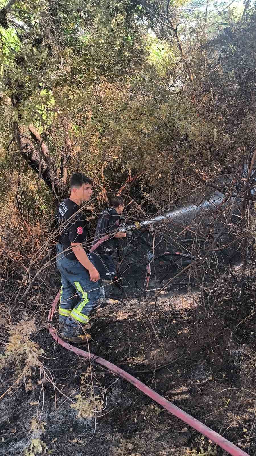 antalyada ormanlik alanda yangin 7 2jTi21sh