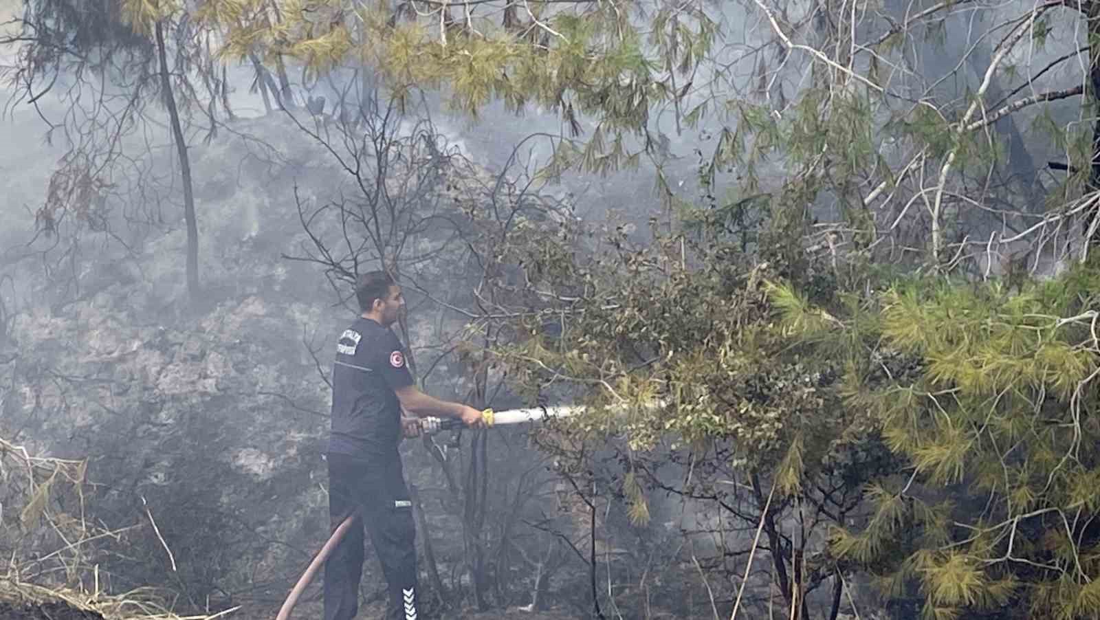 antalyada ormanlik alandaki yangin buyumeden sonduruldu 1 silIGGla