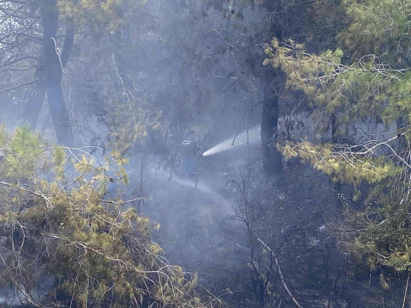antalyada ormanlik alandaki yangin buyumeden sonduruldu 2 nGJWjgOr