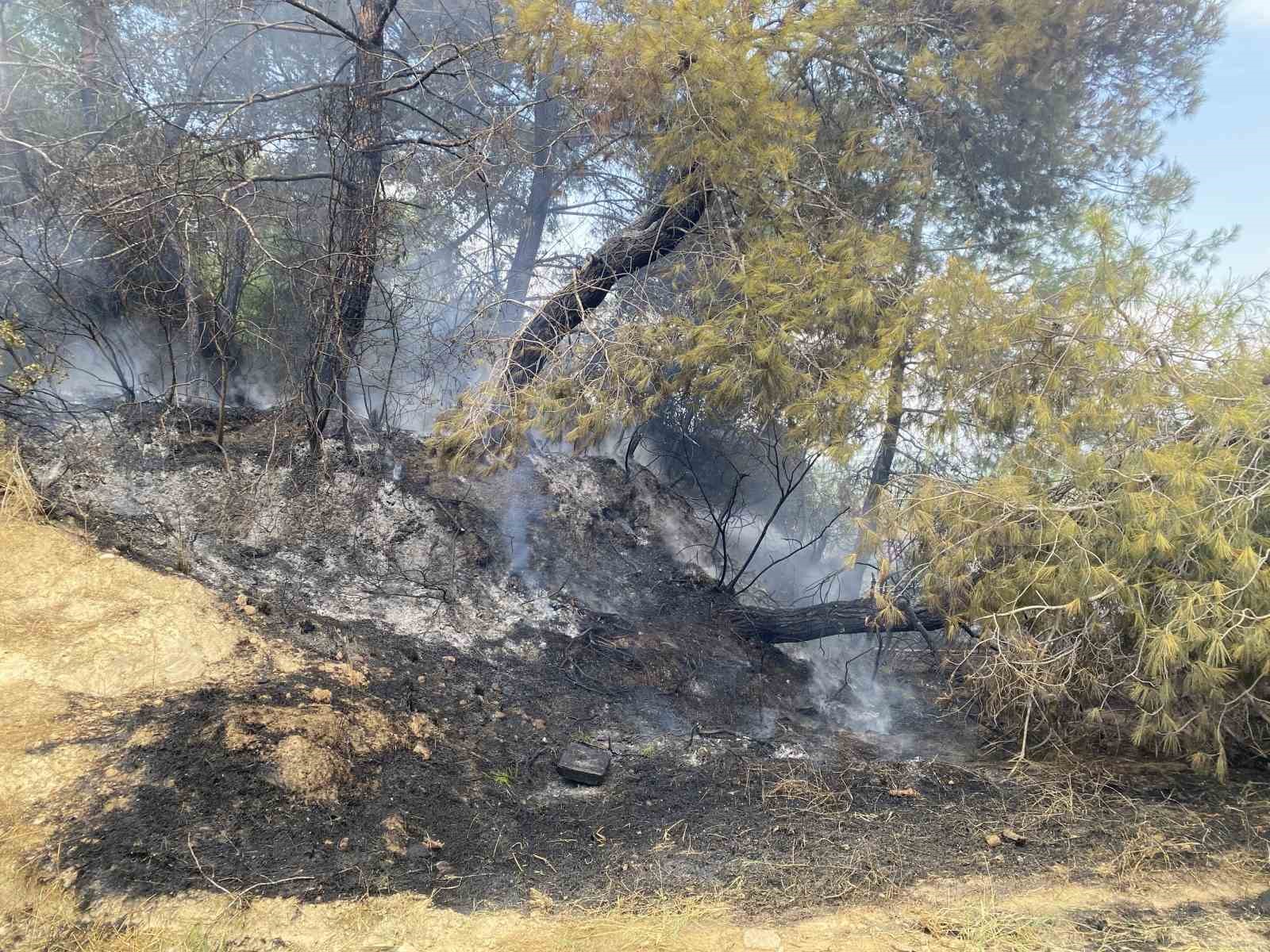 antalyada ormanlik alandaki yangin buyumeden sonduruldu 3 dBLmO28G
