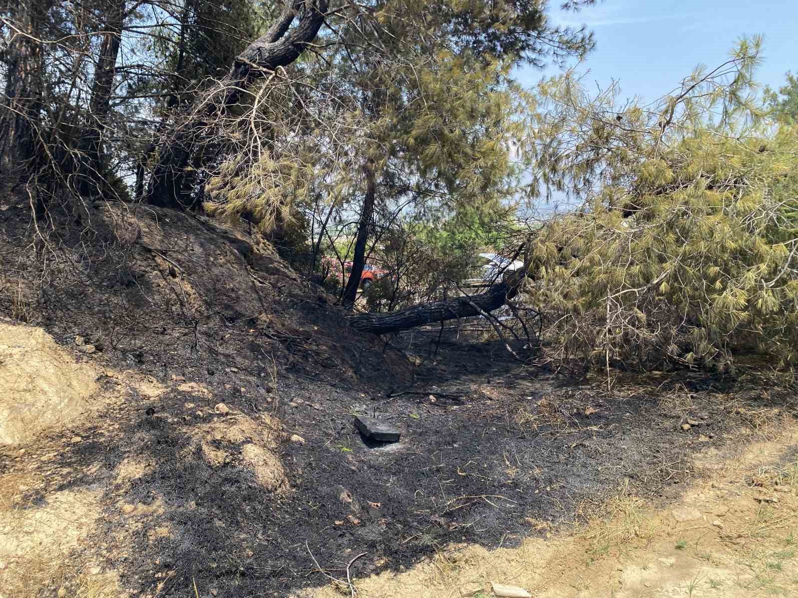 antalyada ormanlik alandaki yangin buyumeden sonduruldu 5 Qfe3SQph