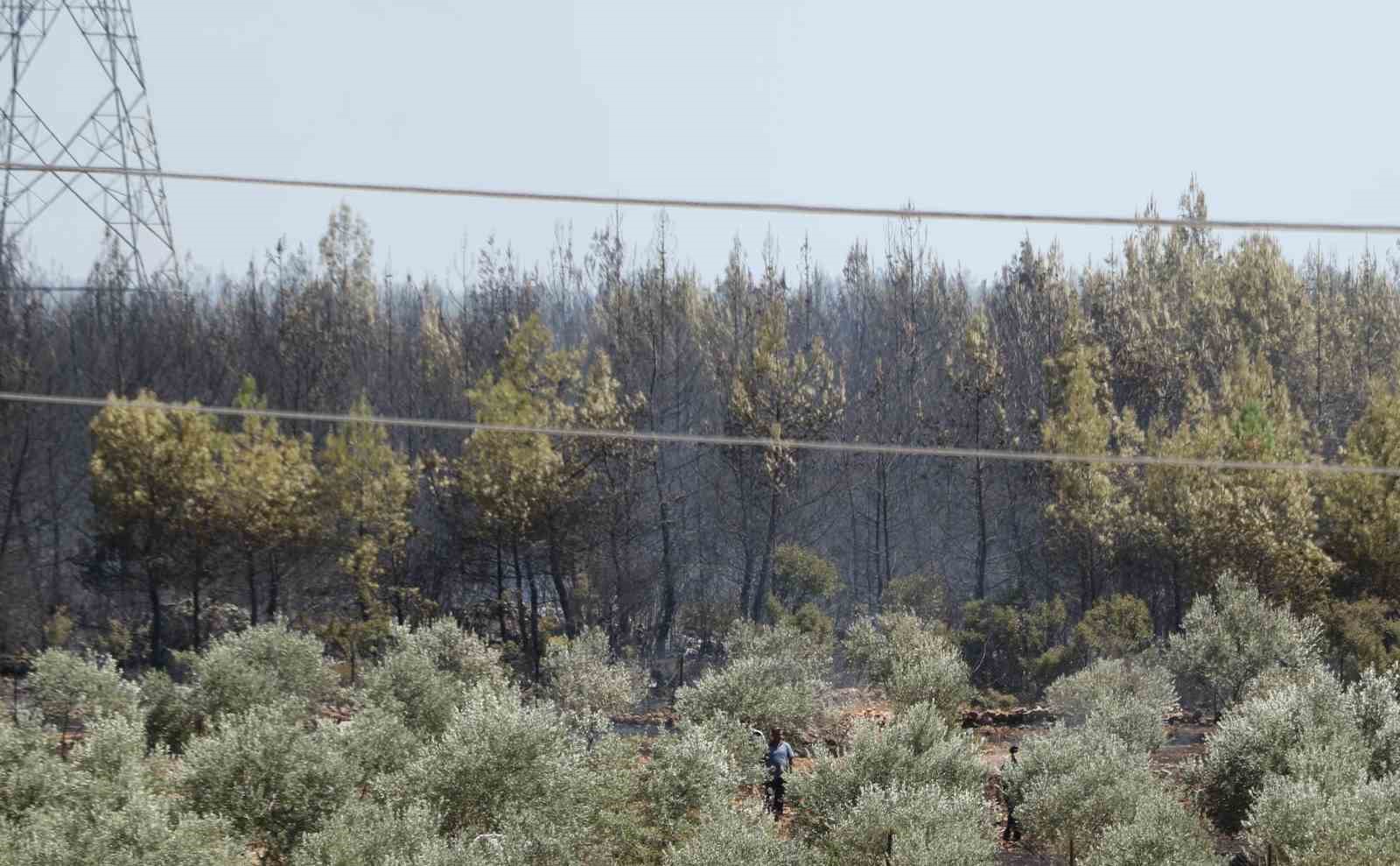 antalyada ormanlik alandaki yangin kontrol altina alindi 4 9TFqYNjm