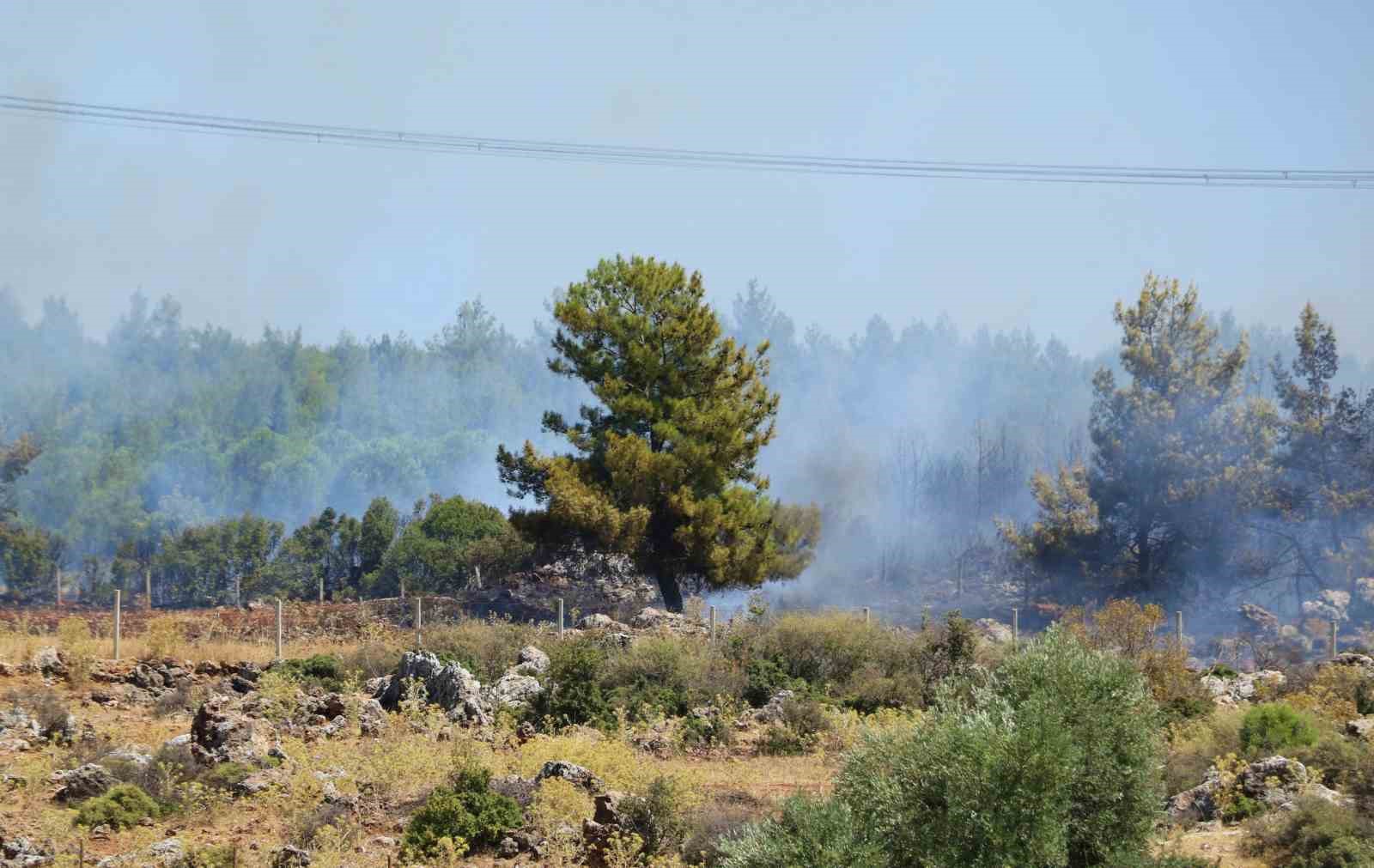 antalyada ormanlik alandaki yangin kontrol altina alindi 5
