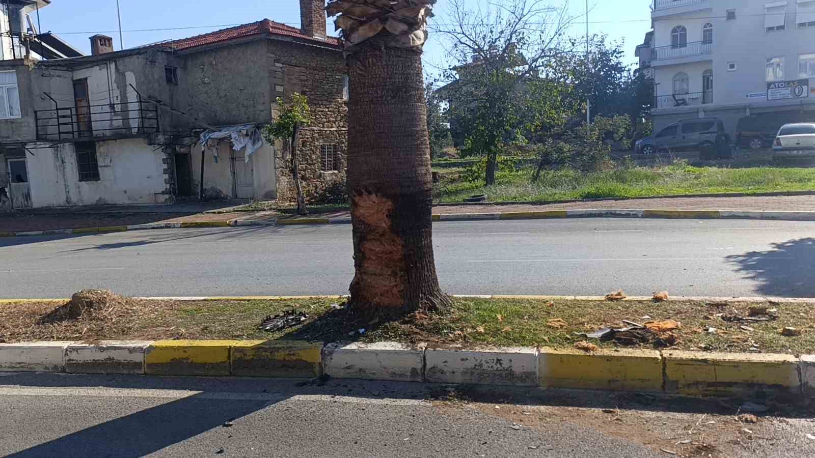 antalyada palmiye agacina carpan aracin surucusu yaralandi 6 EWXBmJpD