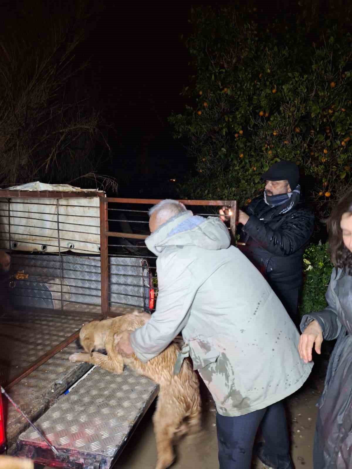 antalyada sel sularinin bastigi barinakta mahsur kalan 27 kopek botlarla kurtarildi 6 4zj38L38