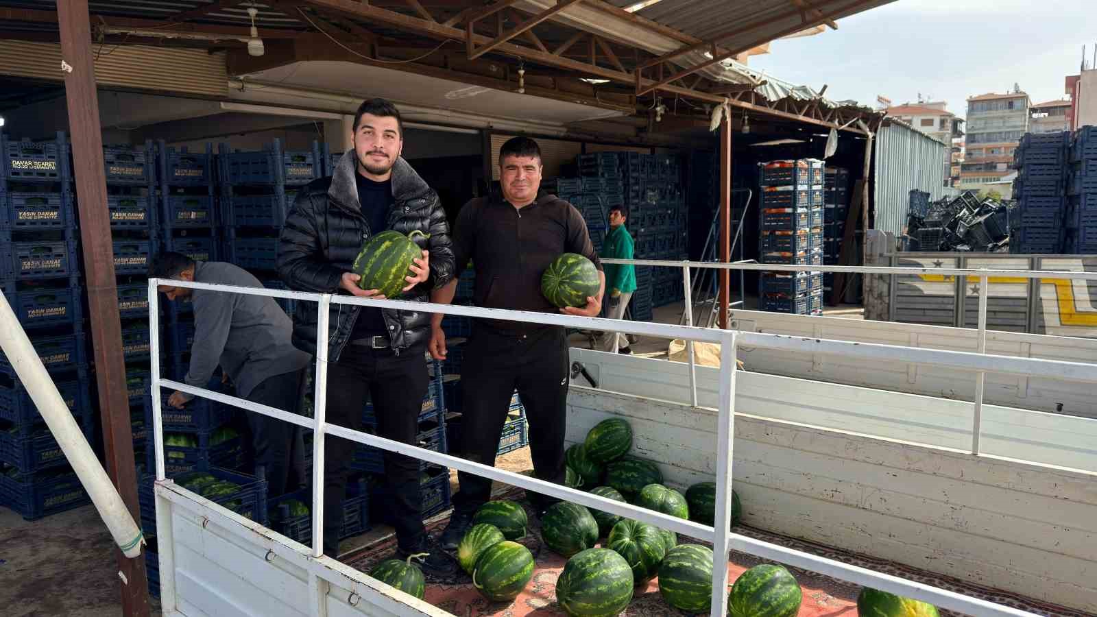 antalyada sezonun ilk karpuz hasadi yapildi 0 snGlh49D