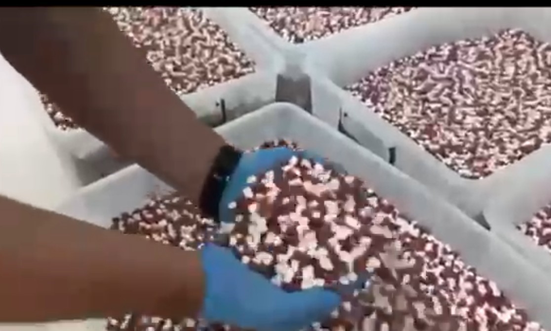 antalyada uyusturucu imalathanesine operasyon 18 milyon sentetik ecza hap ele gecirildi 4 9aH9TEIa