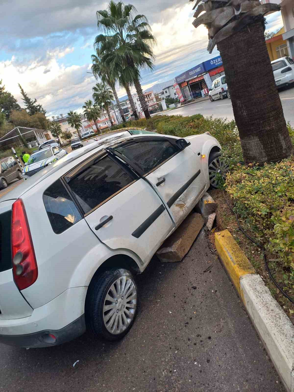 antalyada viraji alamadi palmiye agacina carpti 3 STBsQzvS