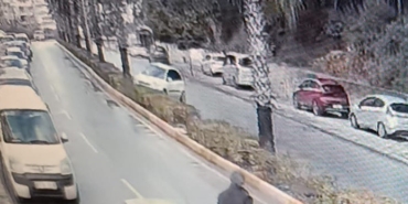 antalyada-viraji-alamadi-palmiye-agacina-carpti-3JsO12IC.jpg