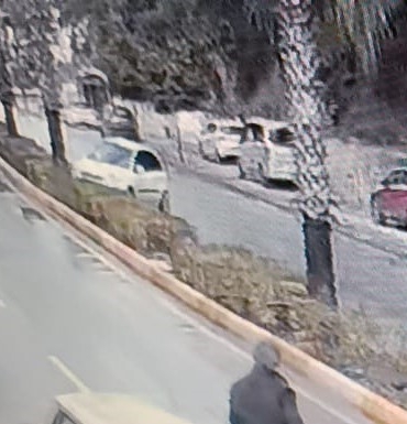 antalyada-viraji-alamadi-palmiye-agacina-carpti-3JsO12IC.jpg